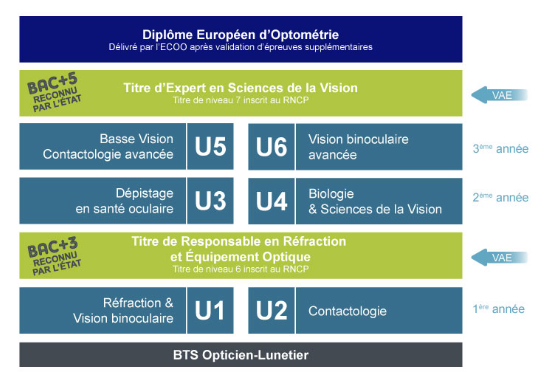 organisation-unités-2020